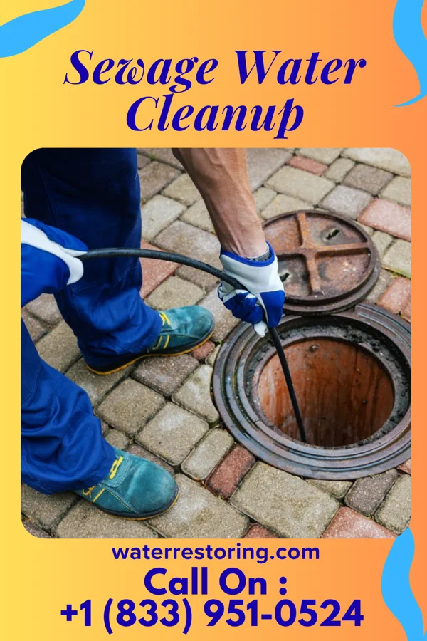 Sewage Water Cleanup in Glen Allen, MO